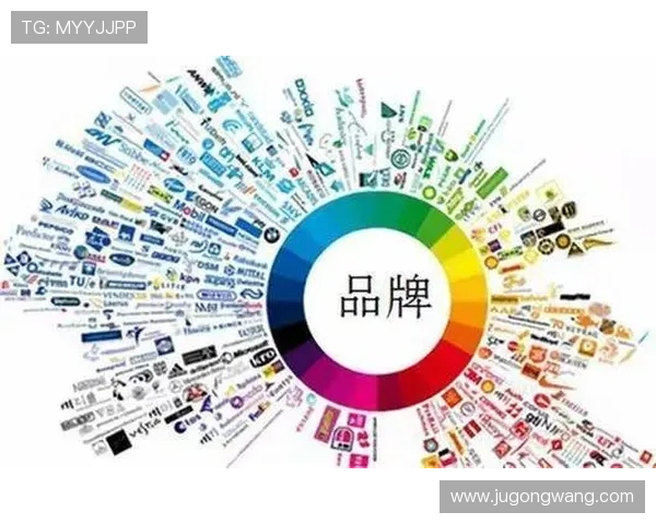 凯发集团简介：客户群体、品牌影响力及市场口碑的全面评估