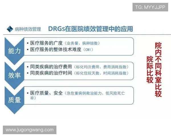 如何设置和优化365登录入口登录体验，提升账户使用效率