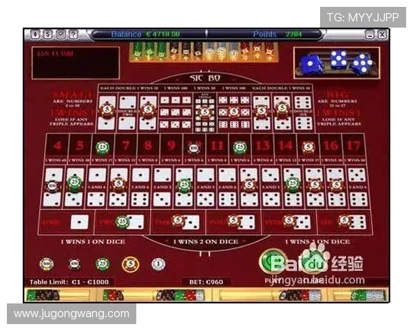 掌握骰宝的基本玩法与高级技巧提升你的赢钱几率