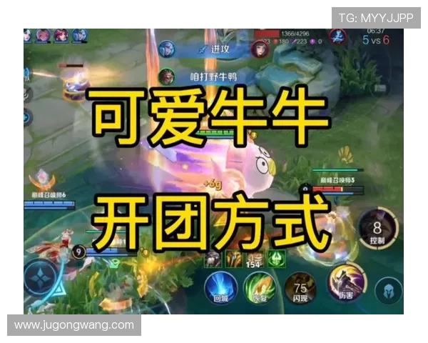 了解牛牛在网络游戏中的定义及其与其他类似术语的区别与联系