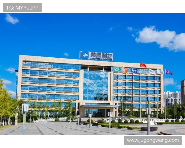 K8凯发登录入口官方入口地址最新版本及安全保障措施详解